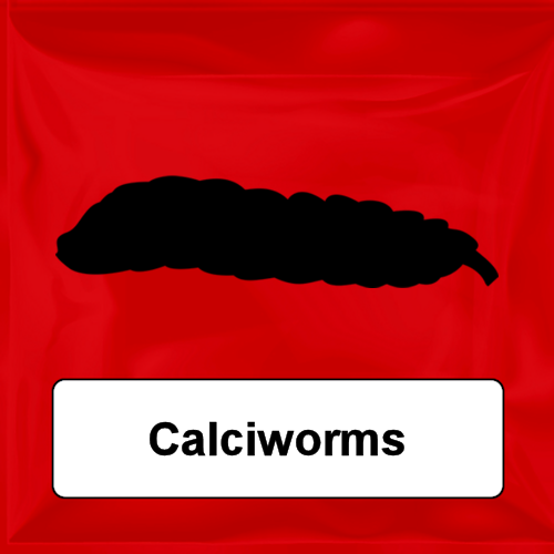 Calciworms