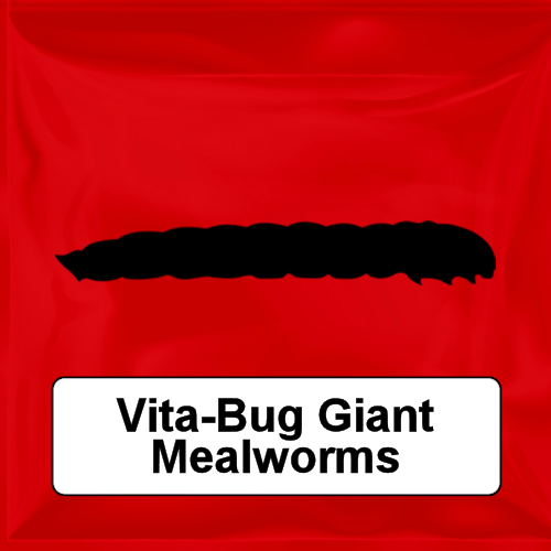 Vita-Bug Giant Mealworms