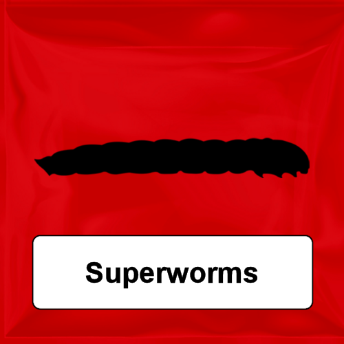 Superworms