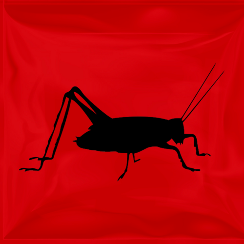 Pinhead Vita-Bug Live Crickets (500 Per Box)