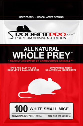 White Small Frozen Feeder Mice for Sale (100 Per Bag)