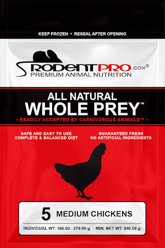 Medium Feeder Chicks for Sale (5 Per Bag)