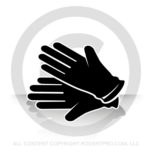Personal Protective Equipment (PPE)