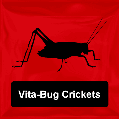 Vita-Bug Crickets