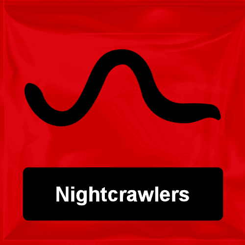 Nightcrawlers