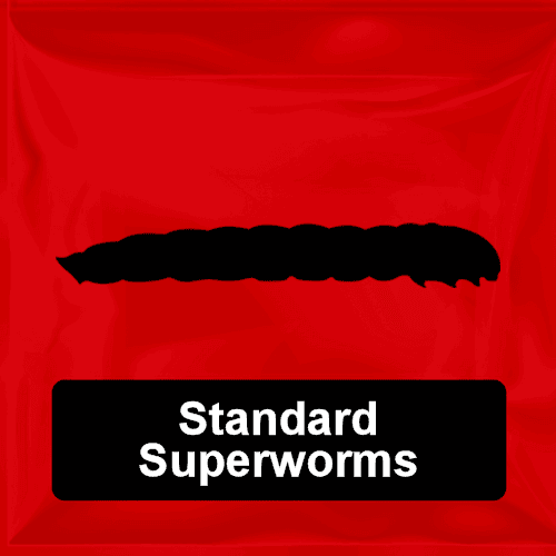 Standard Superworms