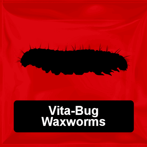 Vita-Bug Waxworms