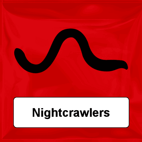 Nightcrawlers