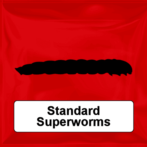 Standard Superworms