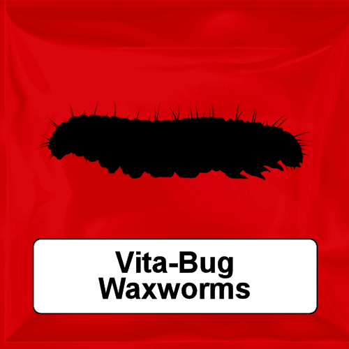 Vita-Bug Waxworms