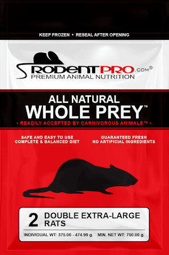 Frozen Rats Bulk- Double Extra-Large (2 Per Bag)