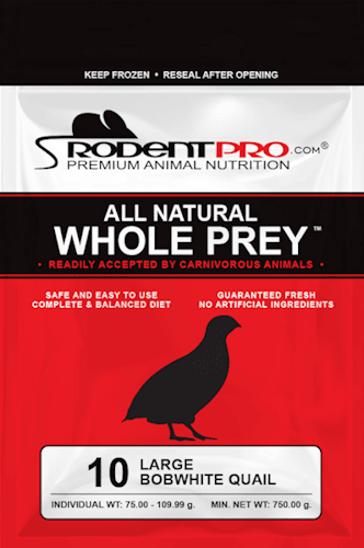 Large Bobwhite Quail for Sale (10 Per Bag)