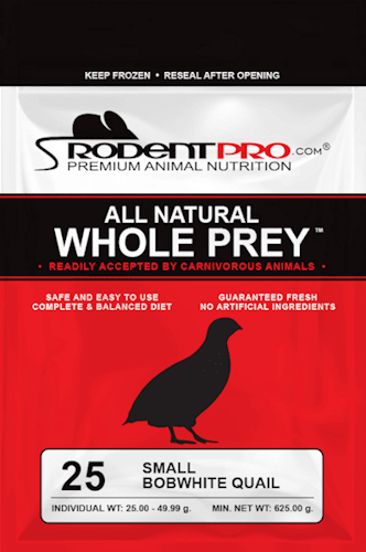 Small Bobwhite Quail (25 Per Bag)