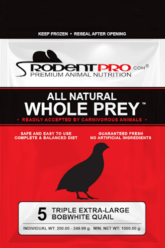 Triple Extra-Large Feeder Bobwhite Quail (5 Per Bag)