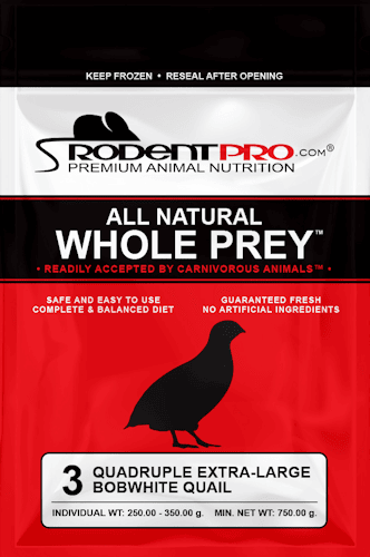 Quadruple Extra-Large Frozen Quail Bobwhite (3 Per Bag)