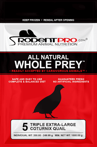 Triple Extra-Large Feeder Quail (5 Per Bag)