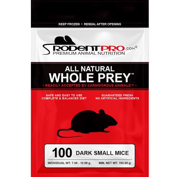 Small Black Mice (100 Per Bag)