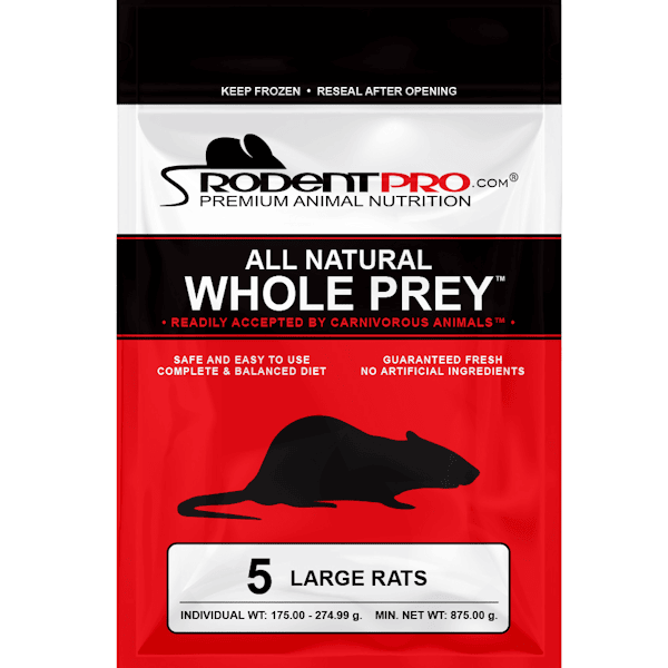 Large Feeder Rodents (5 Per Bag)