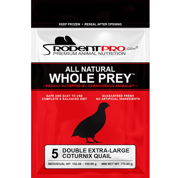 Whole Quail for Sale - Double Extra-Large (5 Per Bag)