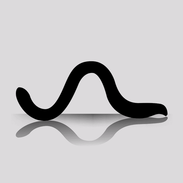 Buy Red Wigglers (360 Per Box)