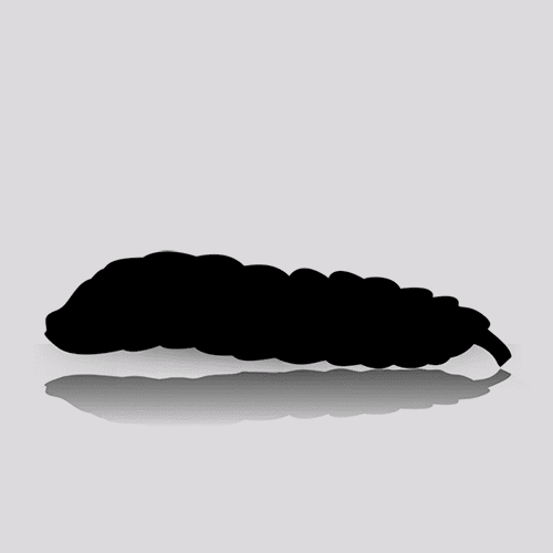 Calci Worms (100 Per Cup)