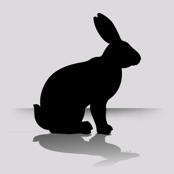 Large Frozen Feeder Rabbits (1 Per Bag)