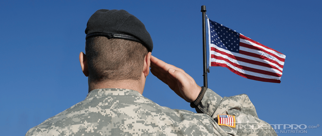 Military Member Salutes Flag